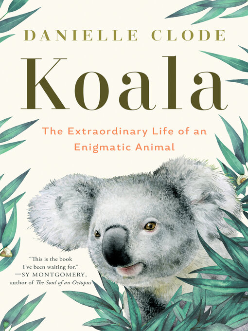 Nimiön Koala lisätiedot, tekijä Danielle Clode - Saatavilla